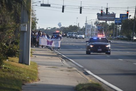 Wear Your Wings Domestic Violence Walk