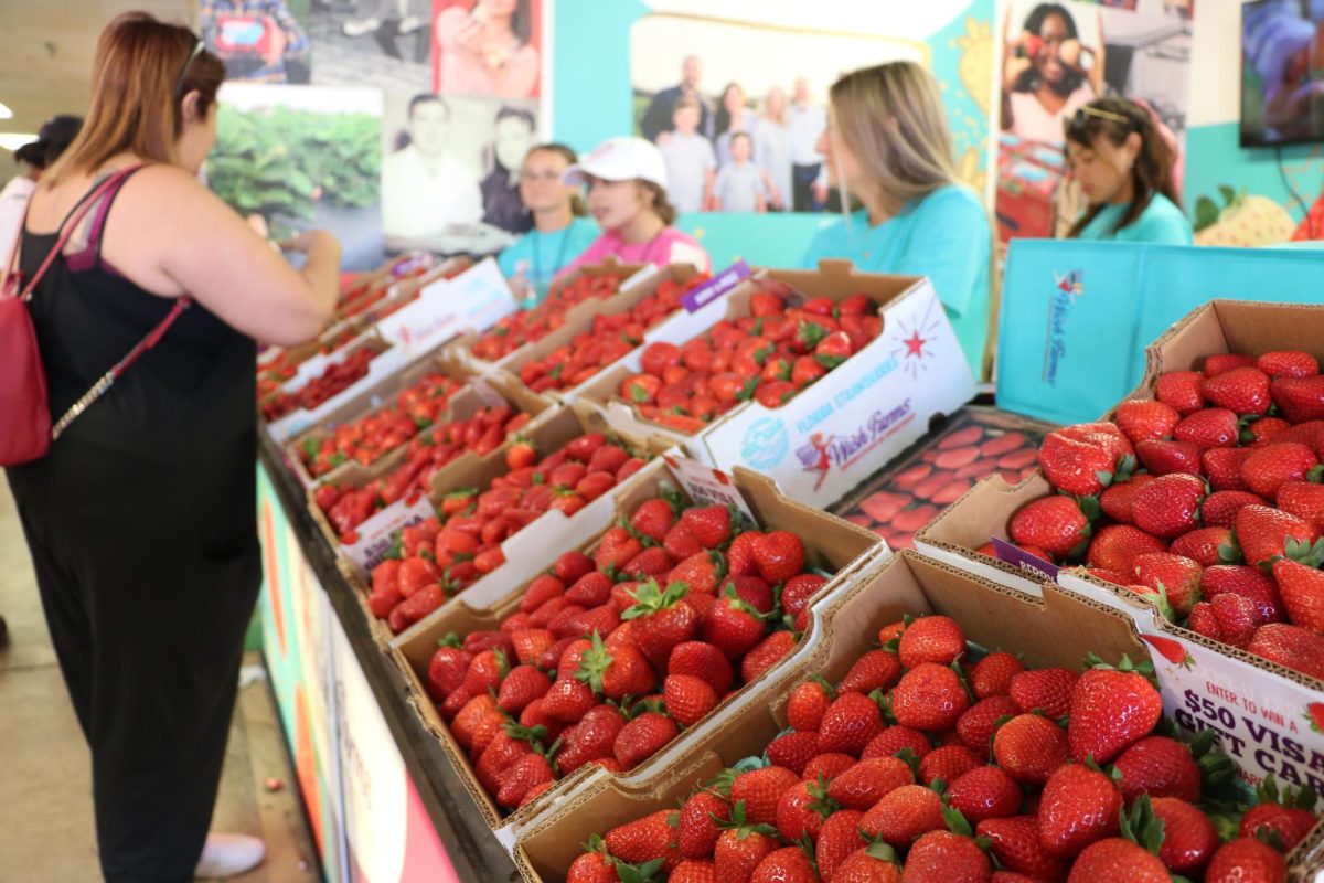 A strawberry stand selling boxes of strawberries at the Strawberry Festival.