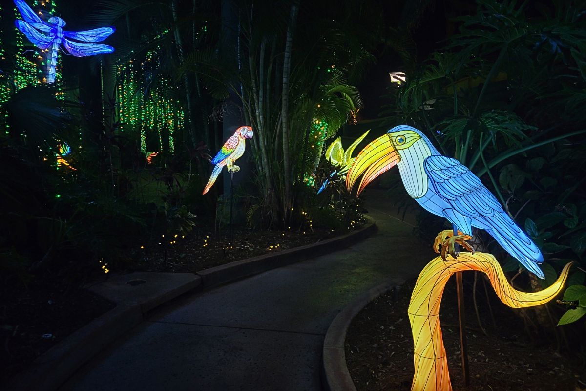 Lantern-lined pathways glow during Aquatica’s Illuminate, a nighttime lantern festival that transforms the park into immersive, story-driven realms connected by light, sound and atmosphere.