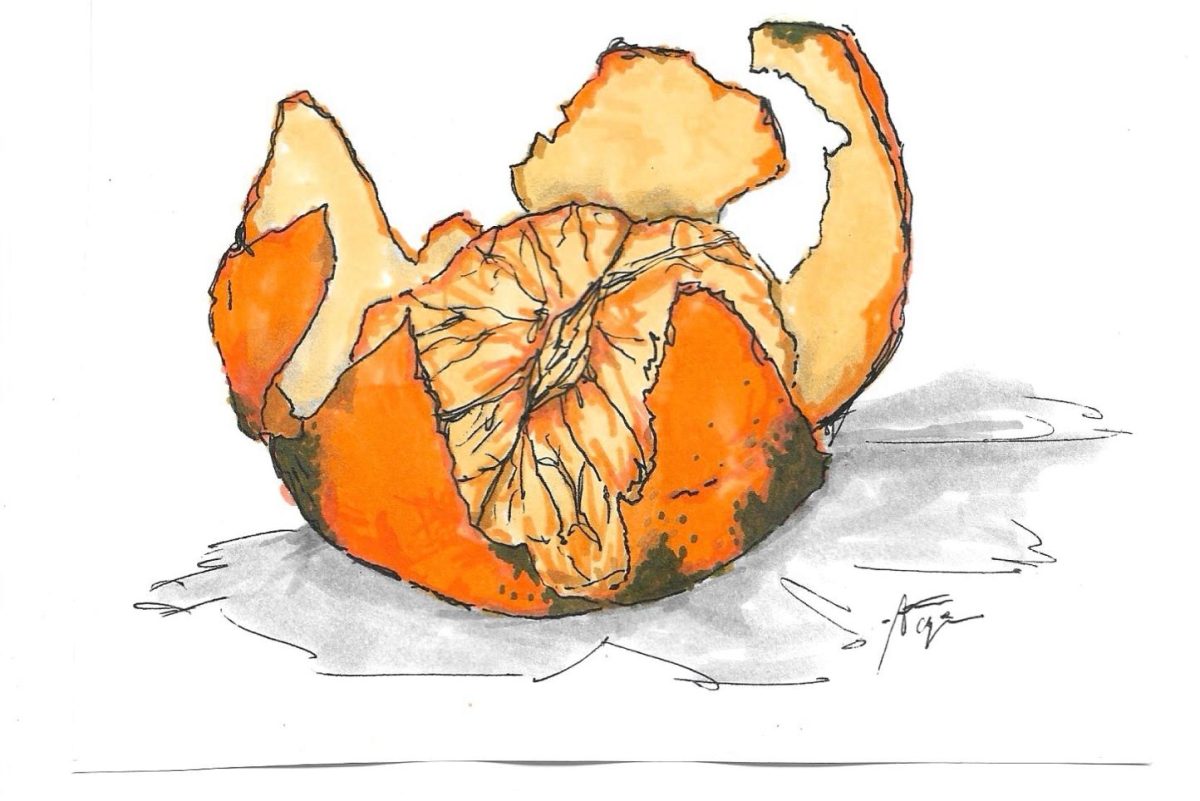 Oranges